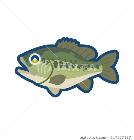 Cute largemouth bass illustration Cute largemouth bass illustration 117927187