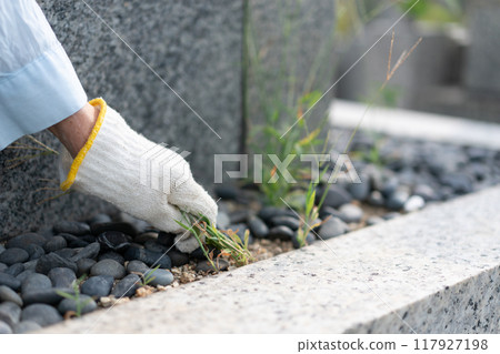 墳墓除草 墳墓清理 墳墓除草 墳墓清理 117927198