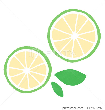 Illustration of a cross section of a kabosu Illustration of a cross section of a kabosu 117927292