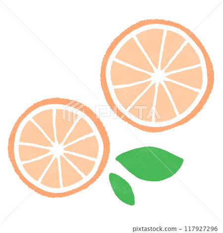 橙子橫截面的插圖 117927296