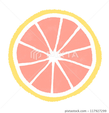 Illustration of a cross section of a pink grapefruit 117927299