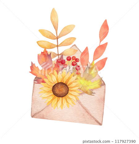 Watercolor composition of envelope with leaves, flower. Autumn element envelope, maple leaf, sunflower, rowan berries. Hand drawn isolated art. Clipart for greeting card, invitation, thanksgiving Watercolor composition of envelope with leaves, flower. Autumn element envelope, maple leaf, sunflower, rowan berries. Hand drawn isolated art. Clipart for greeting card, invitation, thanksgiving 117927390