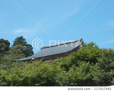 Shizuoka Prefecture, Fukuroi City, Hotaisan, Soneiji Temple, August, Main Hall 117927485