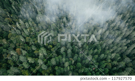 Aerial footage of beautiful high altitude forest mountain landscape Aerial footage of beautiful high altitude forest mountain landscape 117927570