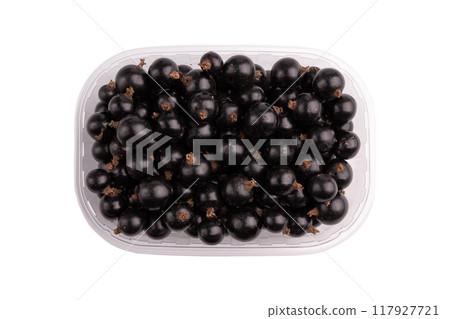 currant berries in plastic box isolated on white currant berries in plastic box isolated on white 117927721