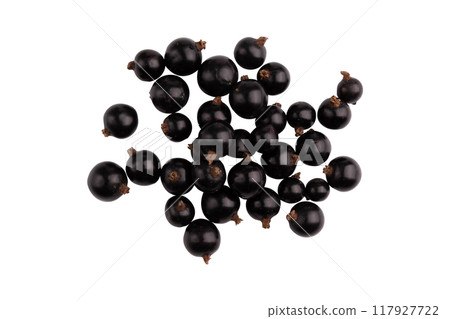 pile of black currant isolated on white background pile of black currant isolated on white background 117927722