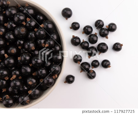 black currant in ceramic bowl isolated on white black currant in ceramic bowl isolated on white 117927725