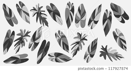 Chic black and white floral patterns with various flowers and leaves in a detailed, seamless design Chic black and white floral patterns with various flowers and leaves in a detailed, seamless design 117927874