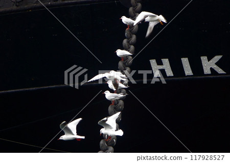 一群海鷗停泊在停泊的船的錨上 117928527