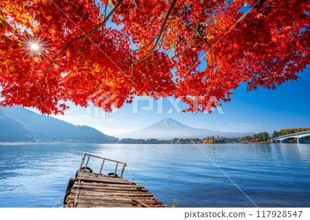 Lake Kawaguchi autumn leaves 117928547
