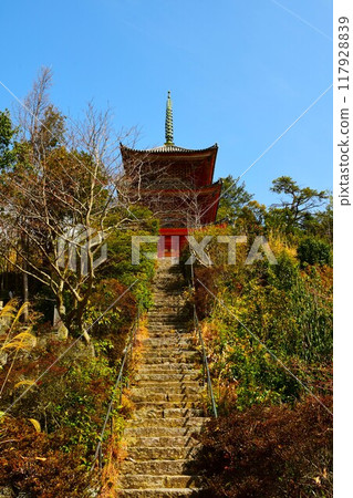 Stone steps leading to Kojoji Temple on Ikuchi Island Stone steps leading to Kojoji Temple on Ikuchi Island 117928839