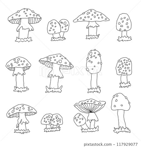 Black white doodle big set of amanita toadstool mushrooms. Cartoon outline vector fly agaric illustrations on a white background 117929077