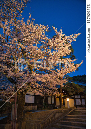 2023年櫻花季清水寺夜間特別參觀 117929278