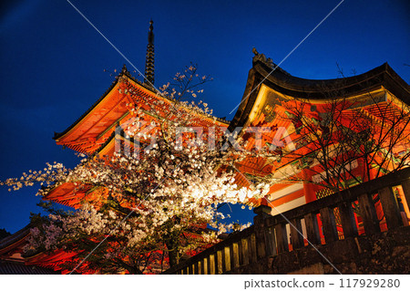 2023年櫻花季清水寺夜間特別參觀 117929280