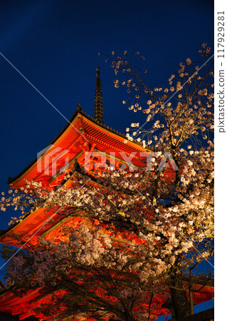 2023年櫻花季清水寺夜間特別參觀 2023年櫻花季清水寺夜間特別參觀 117929281