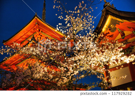 2023年櫻花季清水寺夜間特別參觀 2023年櫻花季清水寺夜間特別參觀 117929282