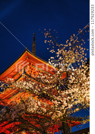 Special night viewing of Kiyomizu-dera Temple during cherry blossom season in 2023 117929283