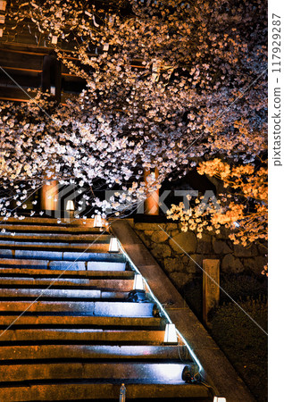 2023年櫻花季清水寺夜間特別參觀 117929287