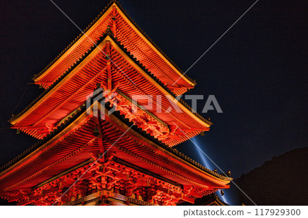 2023年櫻花季清水寺夜間特別參觀 117929300