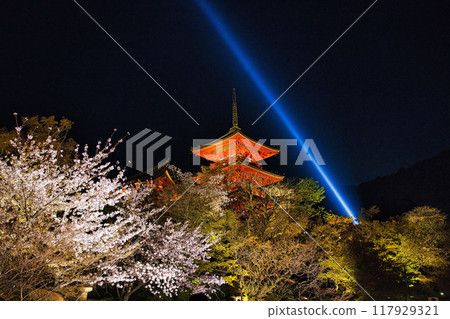 Special night viewing of Kiyomizu-dera Temple during cherry blossom season in 2023 117929321