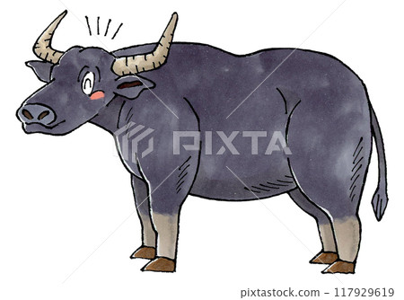 Happy buffalo 117929619