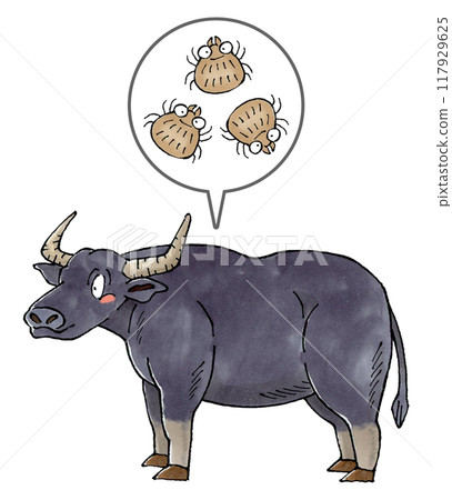 Buffalo and ticks 117929625