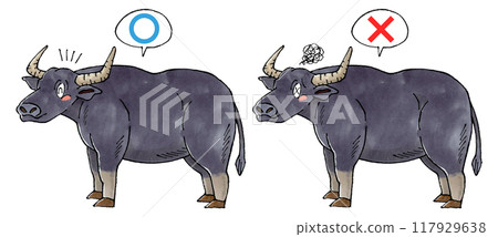 Buffalo judging set (round and round) 117929638