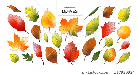 Set of isolated leaves. Cute Autumn foliage illustration in hand drawn style. Orange, yellow, red, brown and green colors on transparent background. Set of isolated leaves. Cute Autumn foliage illustration in hand drawn style. Orange, yellow, red, brown and green colors on transparent background. 117929924