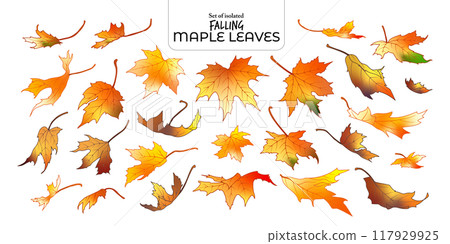 Set of isolated falling maple leaves. Cute Autumn foliage illustration in hand drawn style. Orange outline with yellow and brown colors on transparent background. Set of isolated falling maple leaves. Cute Autumn foliage illustration in hand drawn style. Orange outline with yellow and brown colors on transparent background. 117929925