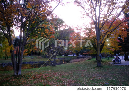 秋天的公園和秋葉風景 秋天的公園和秋葉風景 117930078