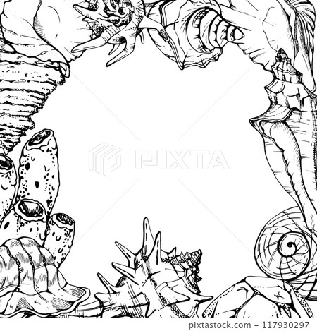 Marine life, sea ocean underwater creatures fish, shells algae seaweed, Ink and pen sketch hand drawn. Border frame illustration, stylized, isolated on white. For zoo shop, aquarium, cosmetics, resort 117930297