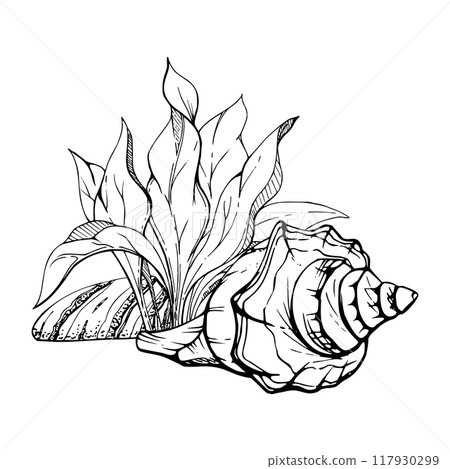 Marine life, sea ocean underwater creatures fish, shells algae seaweed, Ink and pen sketch hand drawn. Composition illustration, stylized, isolated on white. For zoo shop, aquarium, cosmetics, resort 117930299