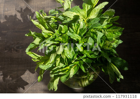 Mint green leaves, bouquet. 117931118