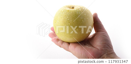 Crispy texture of Nijisseiki pear (white background) 117931347