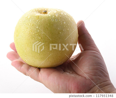 質地酥脆的二十世紀梨（白色背景） 117931348