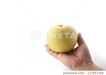 質地酥脆的二十世紀梨(白色背景) 質地酥脆的二十世紀梨(白色背景) 117931349