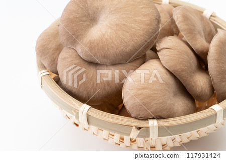 Oyster mushrooms close-up 117931424