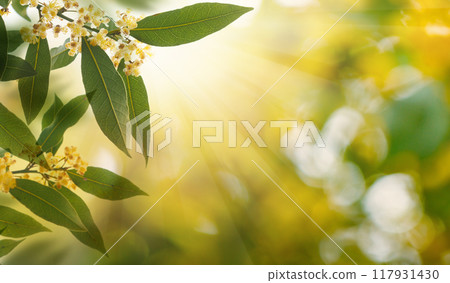 Abstract natural background with green fresh leaf closeup. 117931430