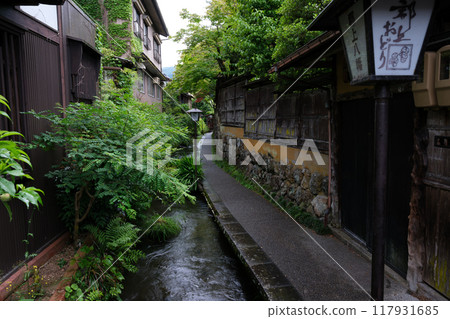 雨天的井川小徑,綠樹成蔭 雨天的井川小徑,綠樹成蔭 117931685