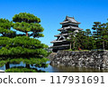 Matsumoto Castle: Pine trees and the castle tower 117931691