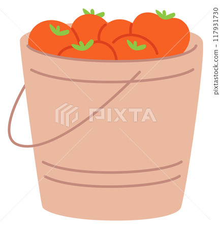 Tomato bucket. Garden harvest. Organic fresh vegetables 117931730