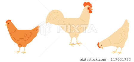 Farm poultry. Color chicken and rooster. Domestic birds 117931753