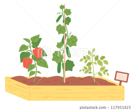 Garden plants growing in wooden box color icon 117931825