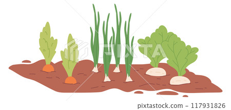 Root vegetables growing in soil. Garden ground icon 117931826