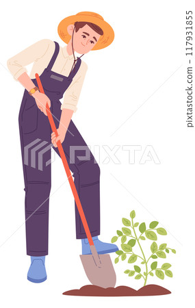 Farmer digging plant from ground. Planting seedling Farmer digging plant from ground. Planting seedling 117931855