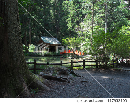 Shizuoka Prefecture, Shuchi District, Oguni Shrine, August, Sunny, Kotomachi Pond, Hachioji Shrine Shizuoka Prefecture, Shuchi District, Oguni Shrine, August, Sunny, Kotomachi Pond, Hachioji Shrine 117932103