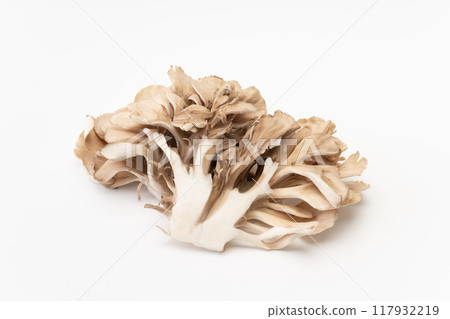 Maitake 117932219