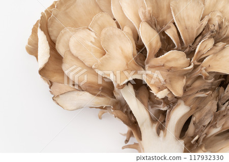 舞茸蘑菇特寫 117932330