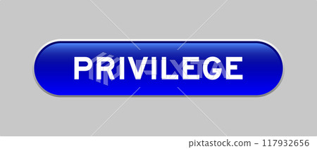 Blue color capsule shape button with word privilege on gray background 117932656