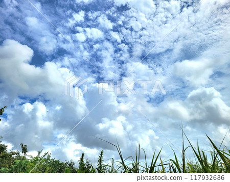 夏天的天空和白雲 117932686